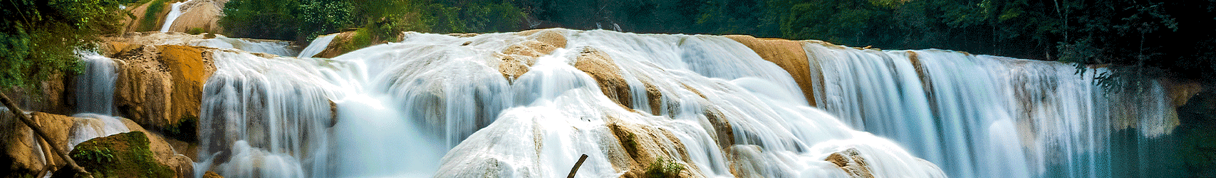 Banner de naturaleza